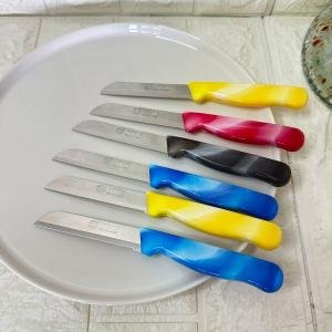 Tırtıklı Meyve ve Sebze Bıçağı 6 Adet