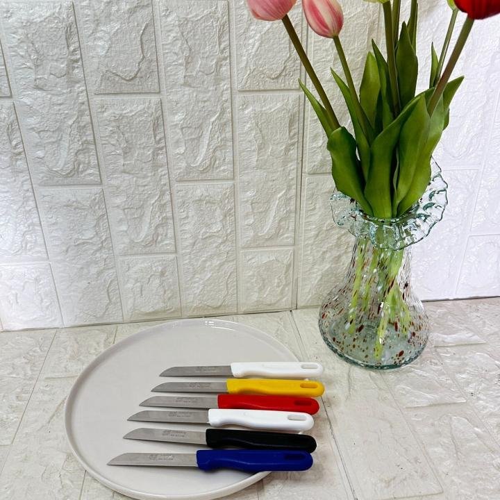 Tırtıklı Meyve ve Sebze Bıçağı 6 Adet