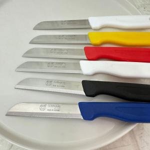 Tırtıklı Meyve ve Sebze Bıçağı 6 Adet