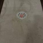 ROSE BANYO PASPAS 70 X1 20