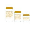 Shiny 3'lü Kavanoz Seti