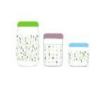 Cassidy 3'lü Kavanoz Seti