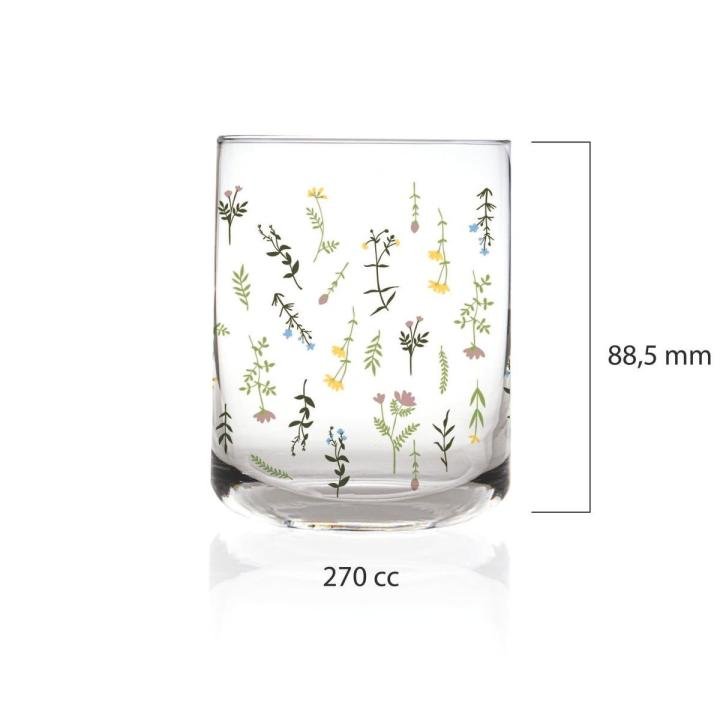 Cassidy 6'lı Su Bardağı