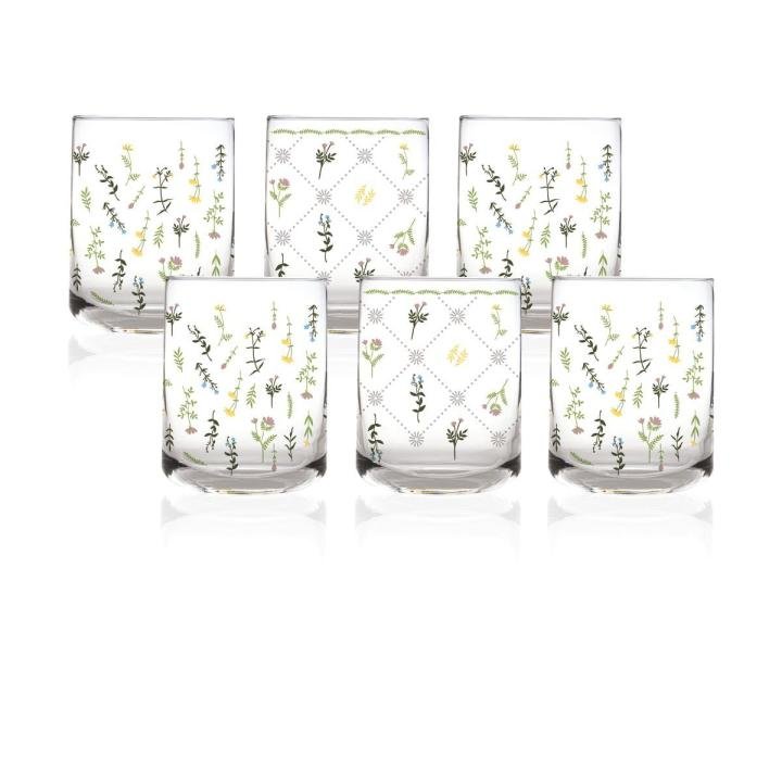 Cassidy 6'lı Su Bardağı