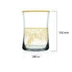 Shiny 6'lı Su Bardağı