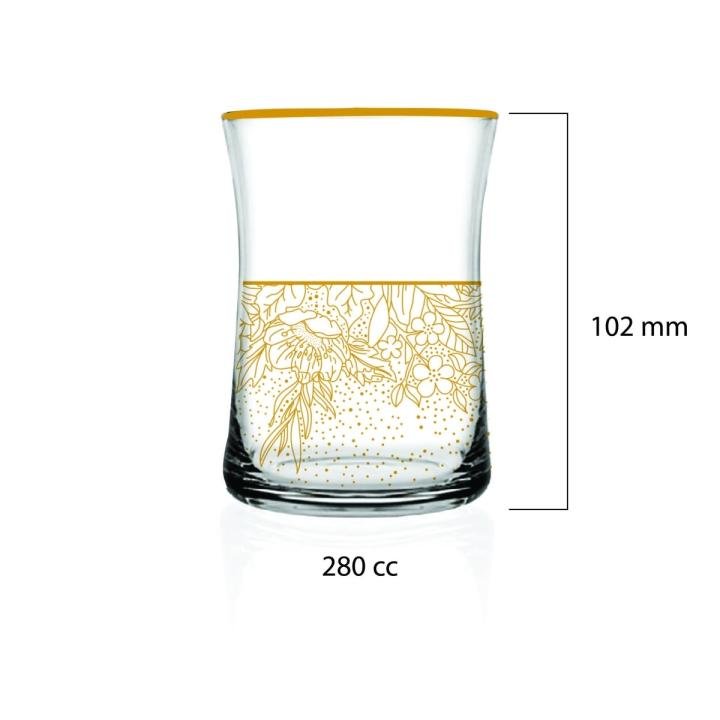 Shiny 6'lı Su Bardağı