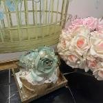 Verse&reverse Oda Kokusu