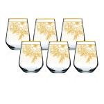 Shiny 6'lı Su Bardağı